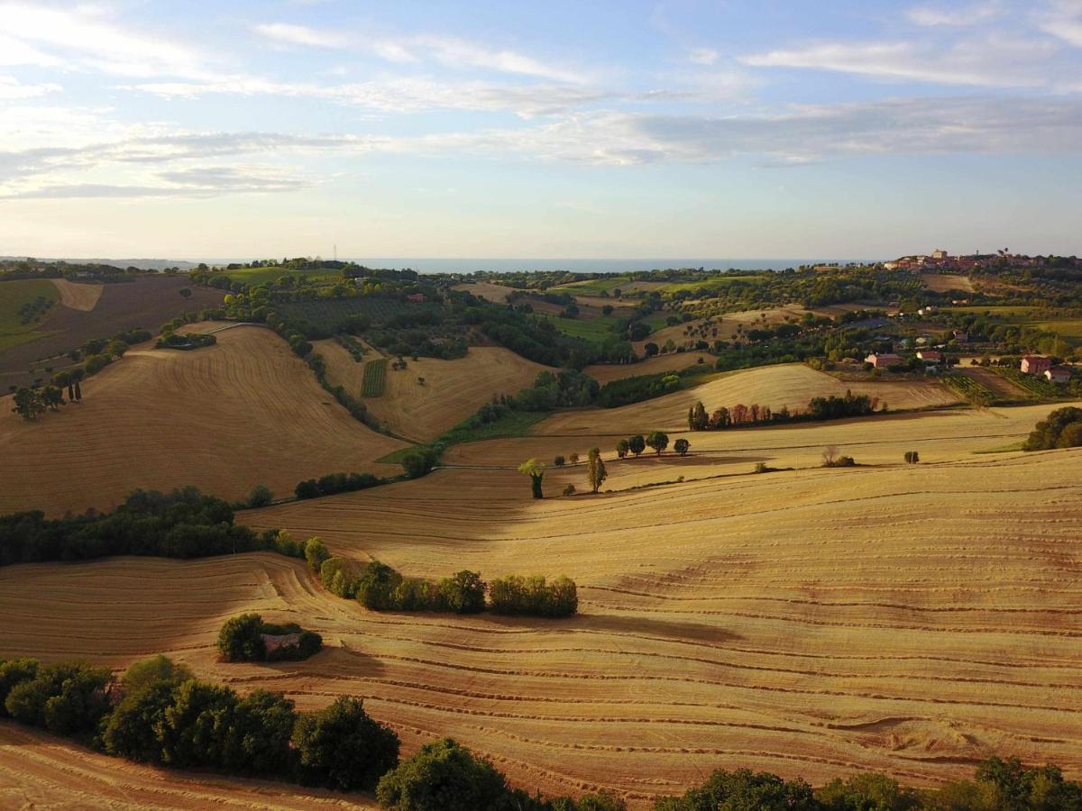 La Meriggia Agriturismo- Ampio Appartamento Con Terrazza Esclusiva Ancona Exterior foto